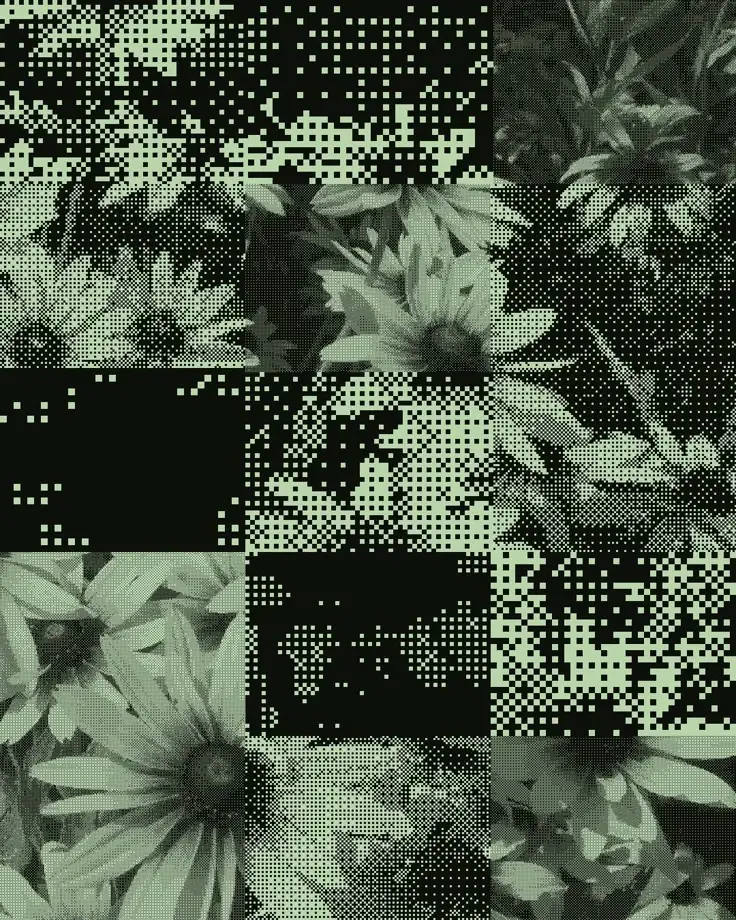 Prisma7 Next.js Starter